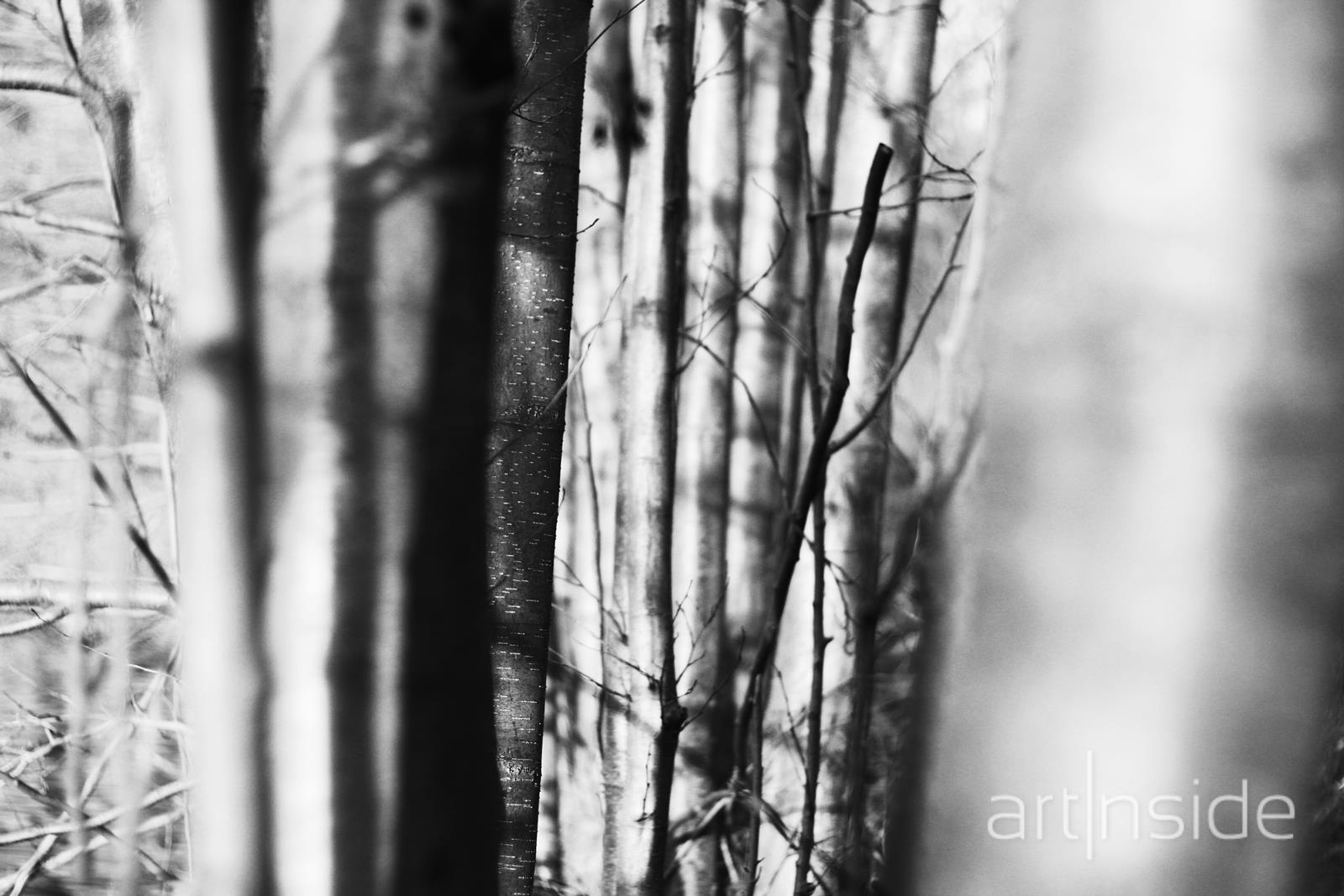 Z cyklu "Szczelina" 2